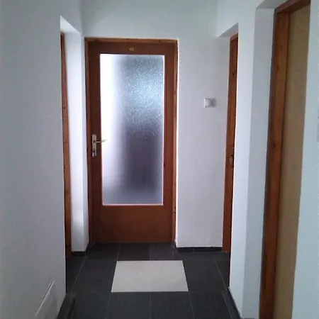 Apartment Dimitrieski Visegrad Room photo